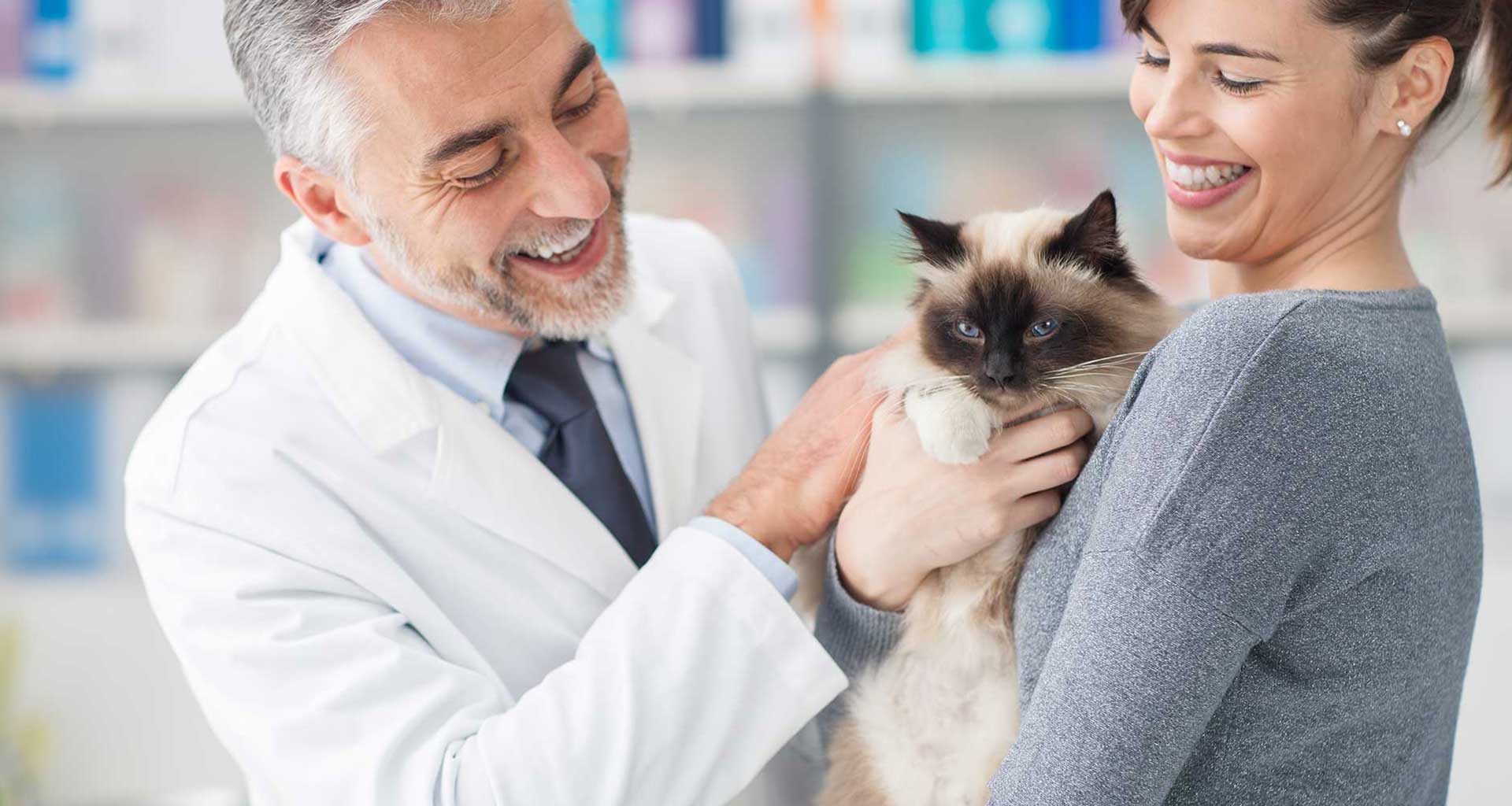 Can you catch a disease from your pet?